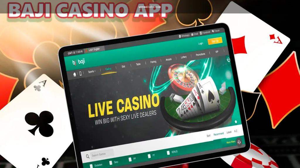 মোবাইল ফোনে লাইভ ক্যাসিনো প্ল্যাটফর্ম যাচাই করছেন এমন একজন ব্যবহারকারী